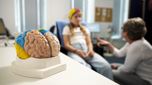 Den Menschen ins Gehirn schauen