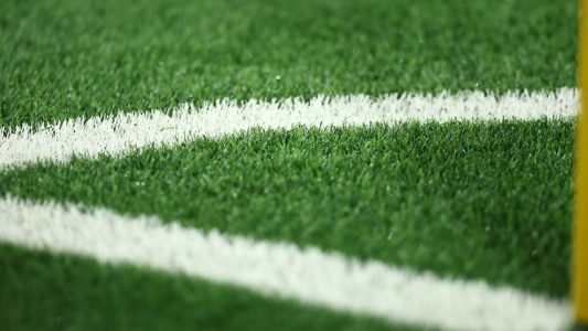 Fast wie echtes Gras