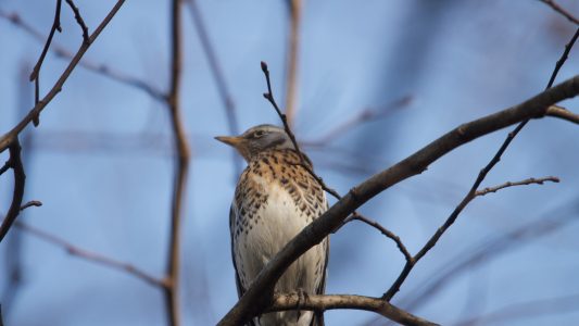 „Irgendwann kam die Begeisterung“