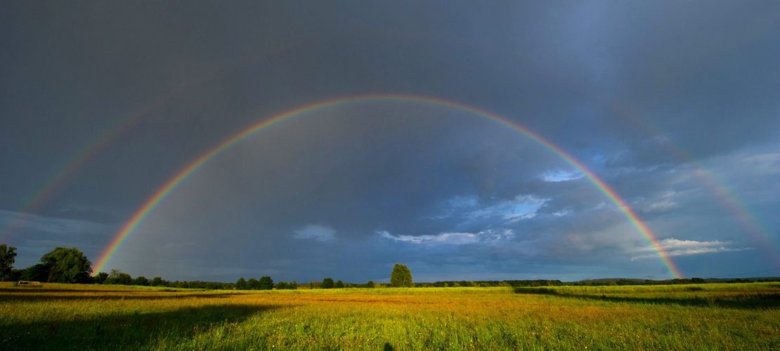 Bunt, bunter, Regenbogen