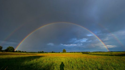 Bunt, bunter, Regenbogen