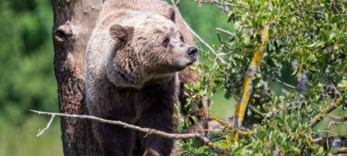 Das liest du in der neuen Duda